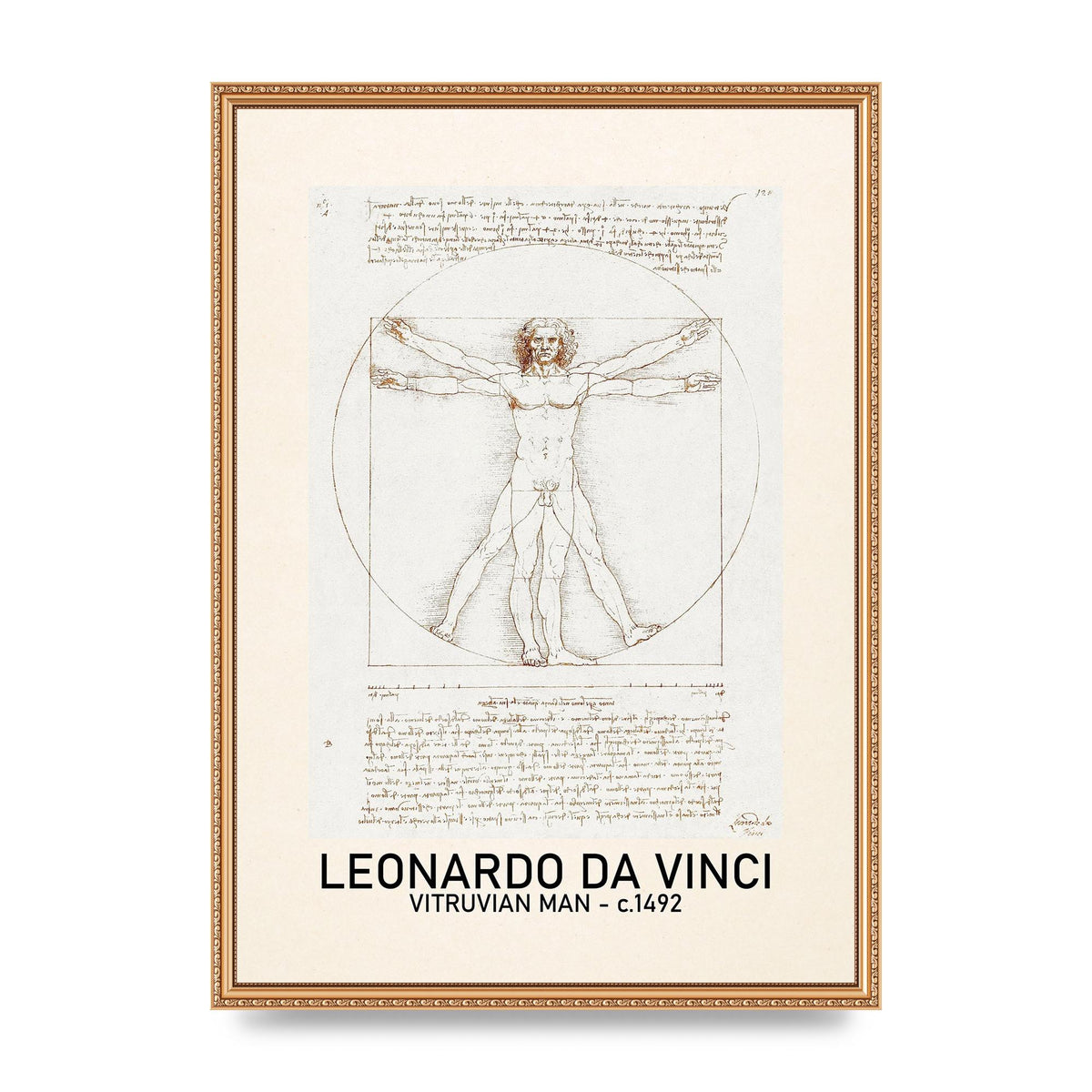 Leonardo Da Vinci Vitruvian Man 1492 Art For The Home - A2 framed