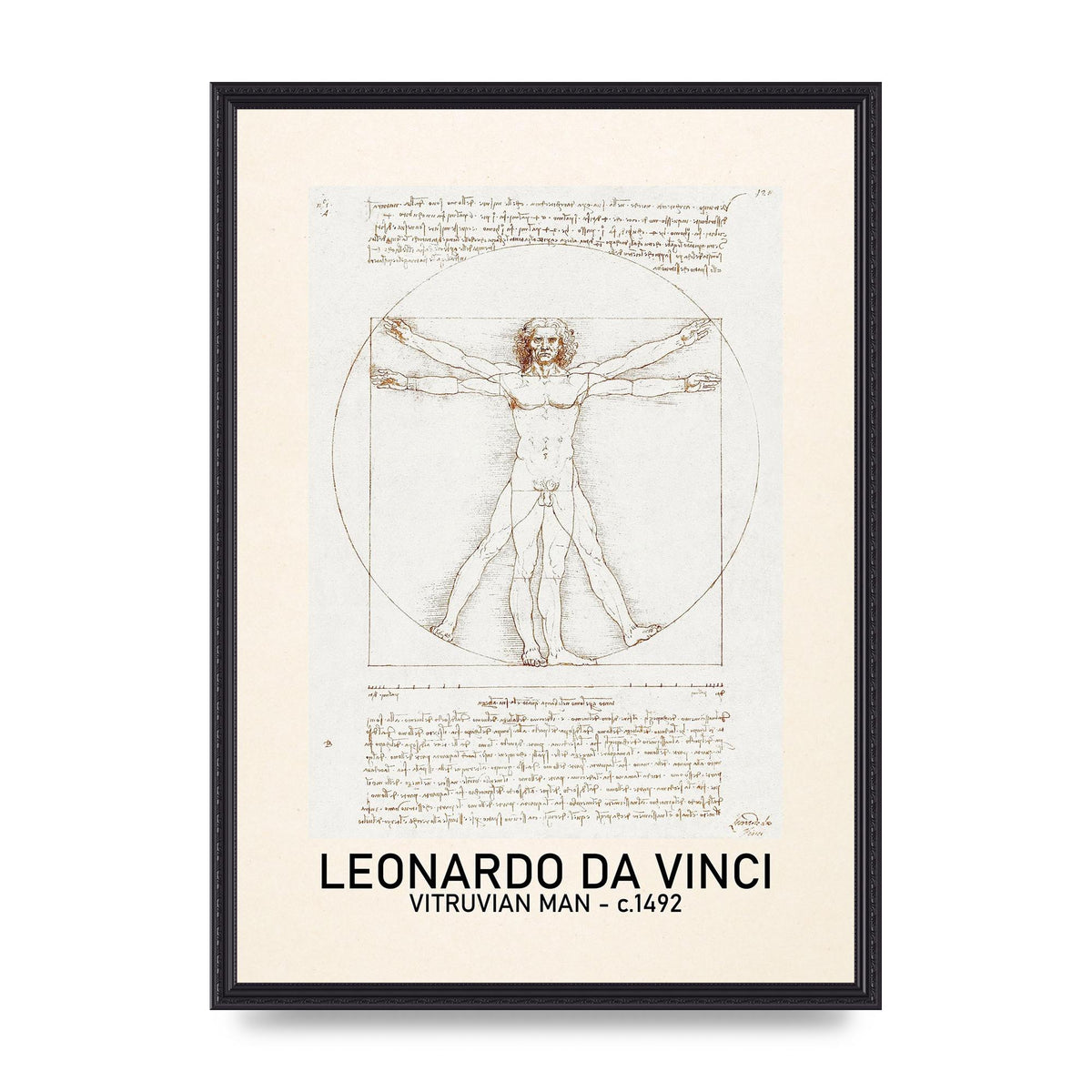 Leonardo Da Vinci Vitruvian Man 1492 Art For The Home - A2 framed