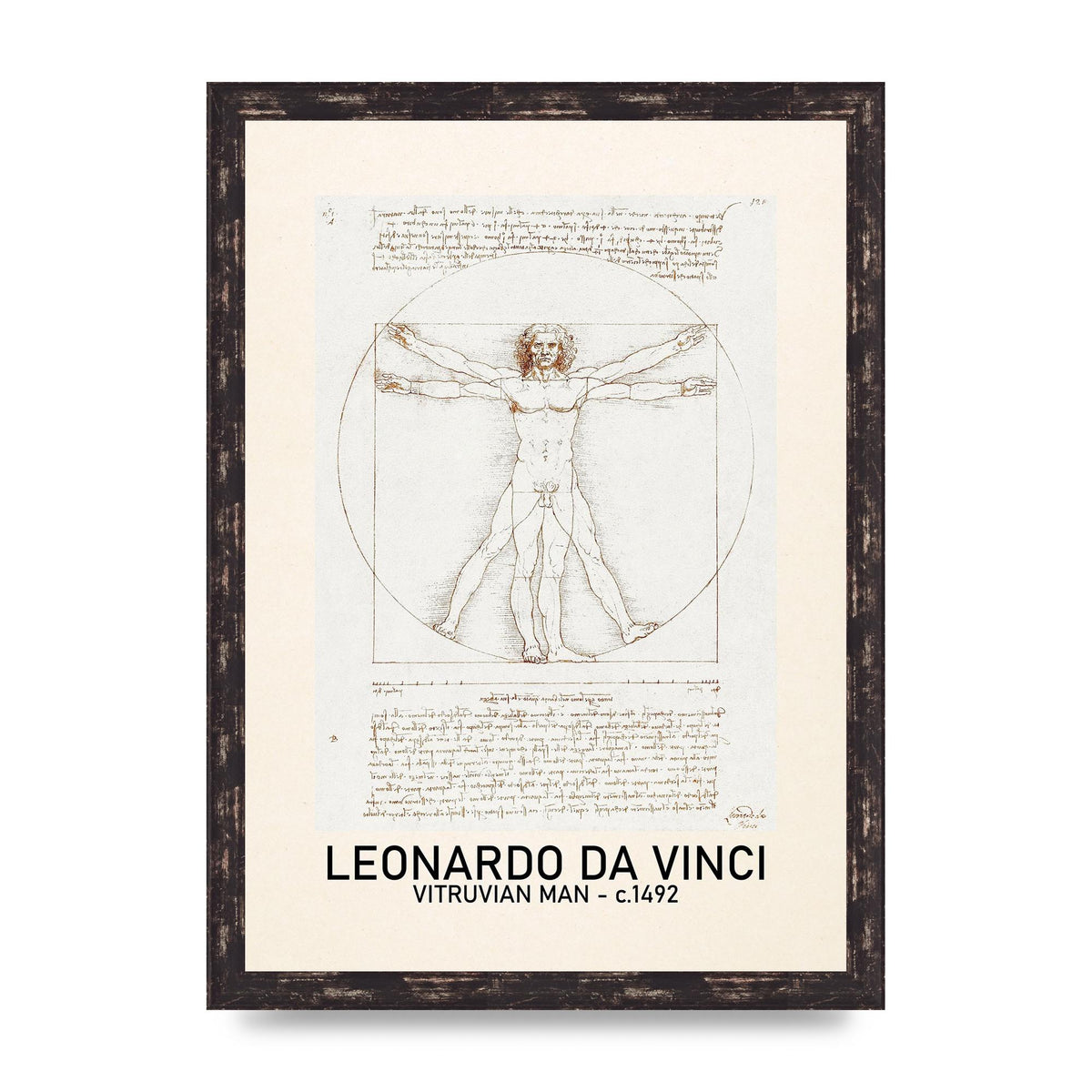 Leonardo Da Vinci Vitruvian Man 1492 Art For The Home - A3 framed