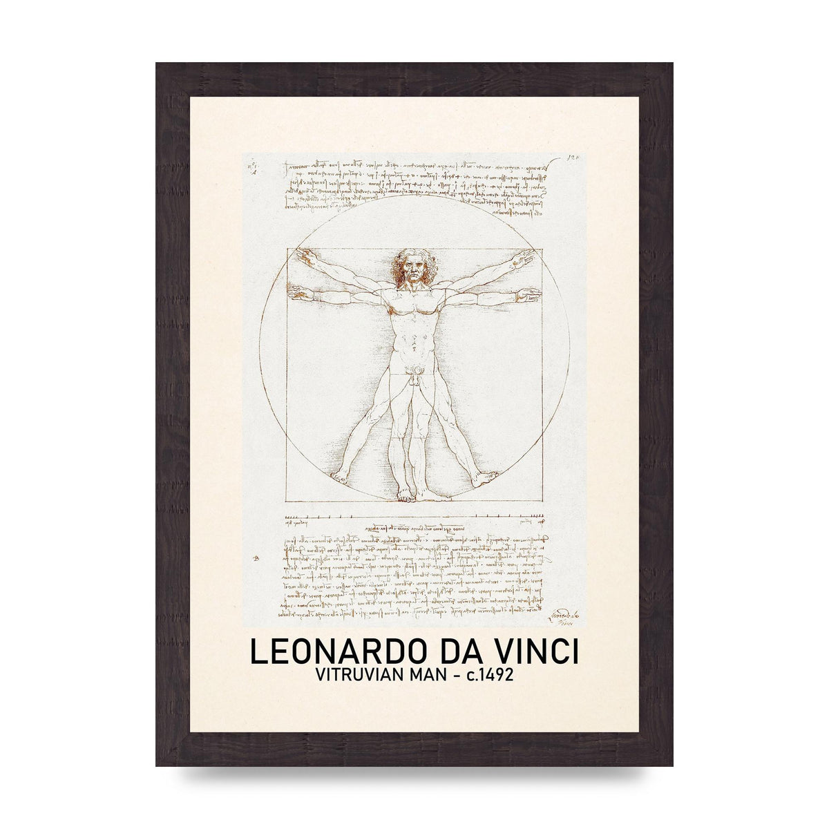 Leonardo Da Vinci Vitruvian Man 1492 Art For The Home - A4 framed