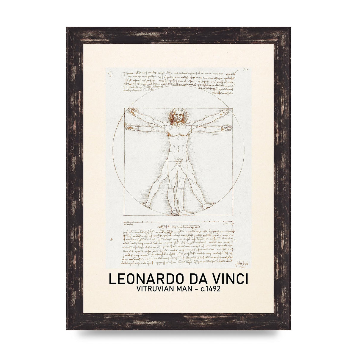 Leonardo Da Vinci Vitruvian Man 1492 Art For The Home - A4 framed