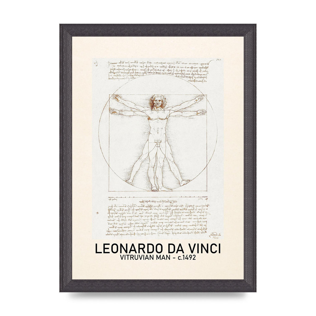 Leonardo Da Vinci Vitruvian Man 1492 Art For The Home - A4 framed
