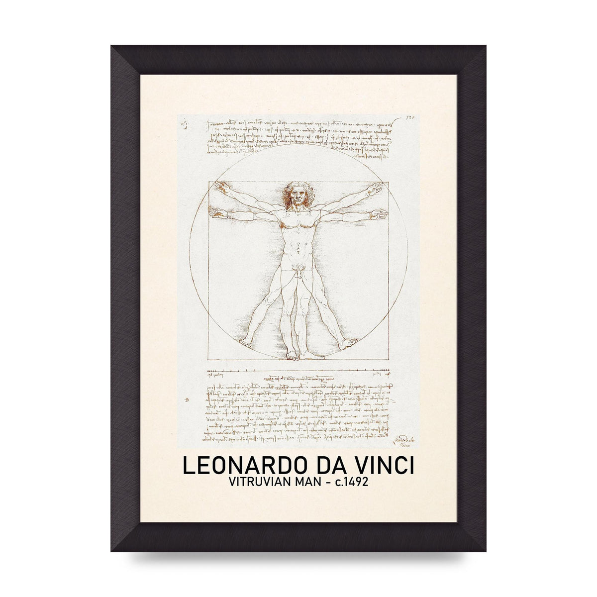 Leonardo Da Vinci Vitruvian Man 1492 Art For The Home - A4 framed
