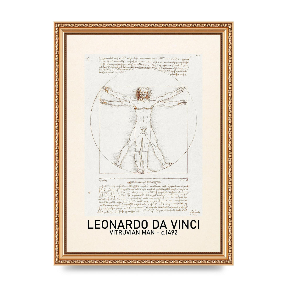 Leonardo Da Vinci Vitruvian Man 1492 Art For The Home - A4 framed
