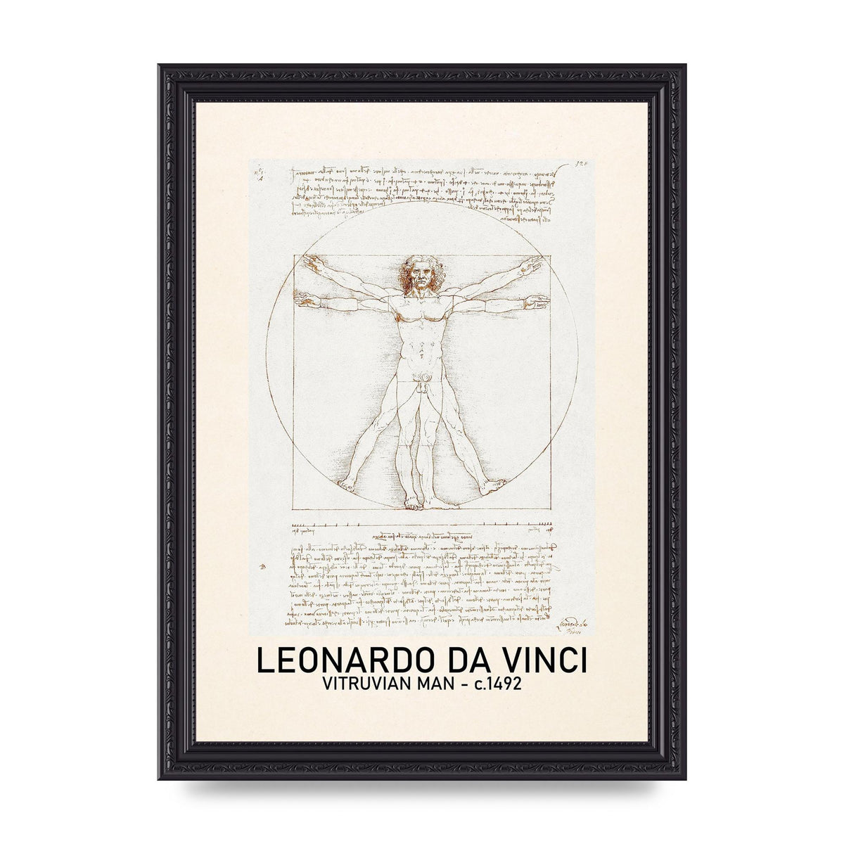 Leonardo Da Vinci Vitruvian Man 1492 Art For The Home - A4 framed