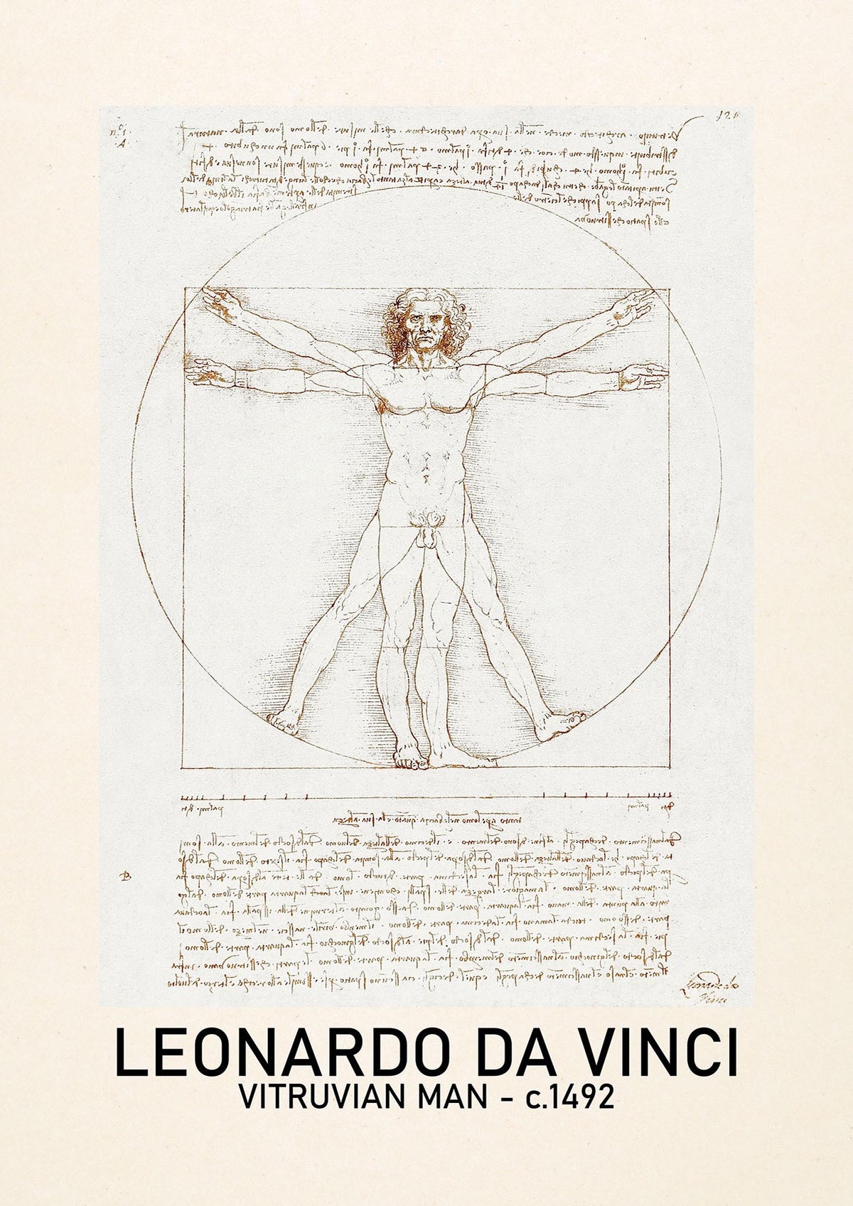 Leonardo Da Vinci Vitruvian Man 1492 Art For The Home - detail