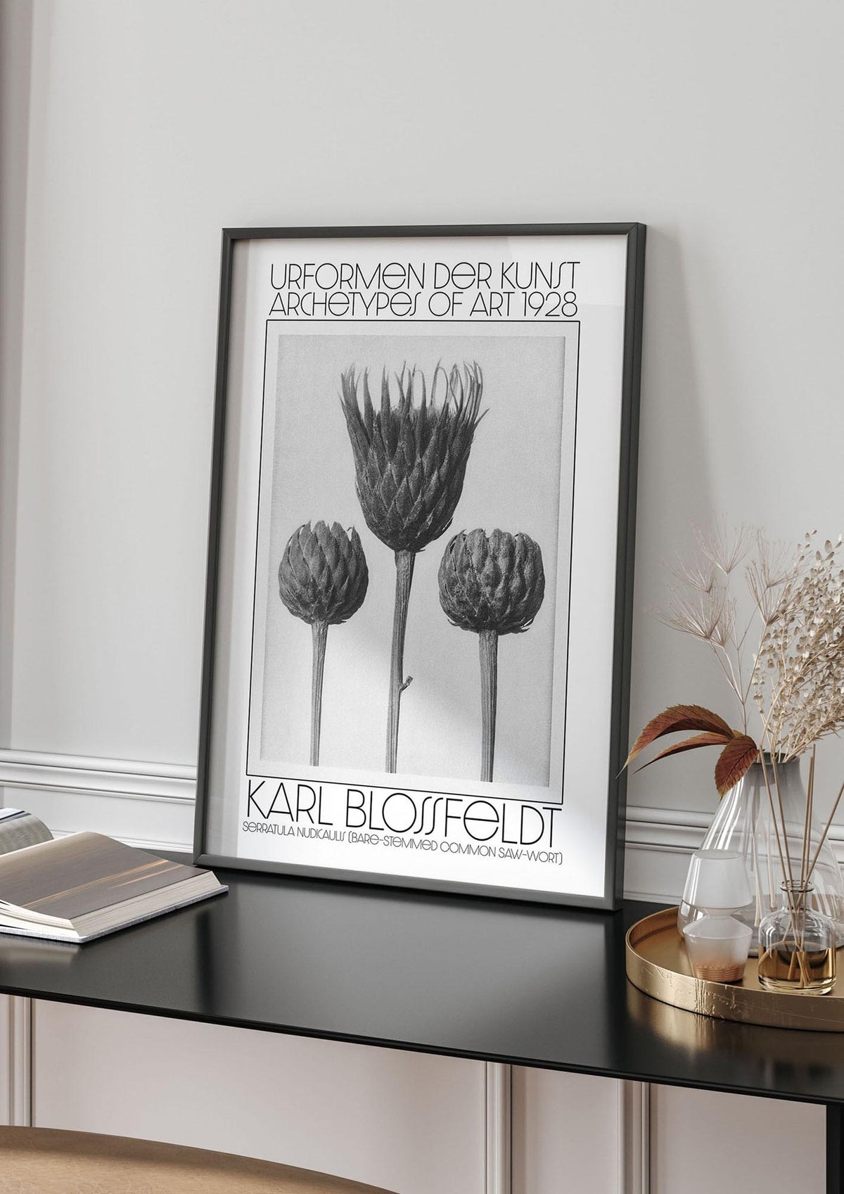 Karl Blossfeldt Urformen Der Kunst 1928 Serratula Nudicaulis Bare Stemmed Common Saw Wort Wall Art - living room 4