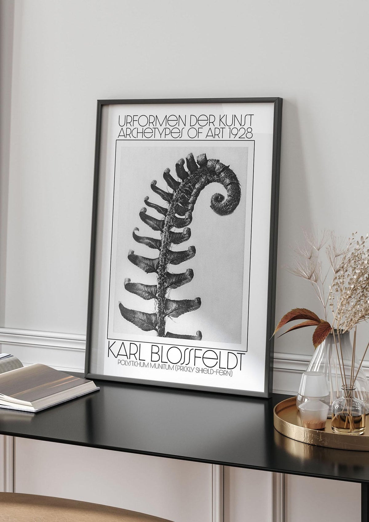 Karl Blossfeldt Urformen Der Kunst 1928 Polystichum Munitum Prickly Shield Fern Art For The Home - living room 4