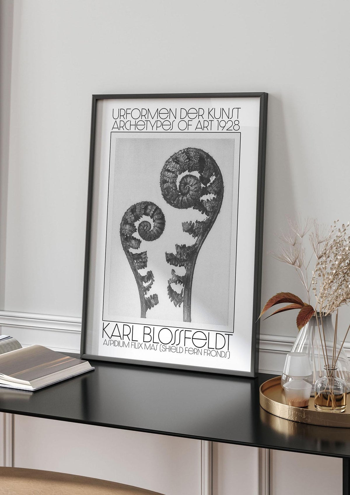 Karl Blossfeldt Urformen Der Kunst 1928 Aspidium Filix Mas Shield Fern Fronds Art For The Home - living room 4