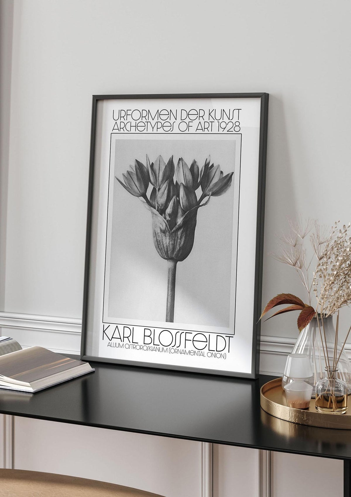 Karl Blossfeldt Urformen Der Kunst 1928 Allium Ostroroskianum Ornamental Onion Printed Poster - living room 4