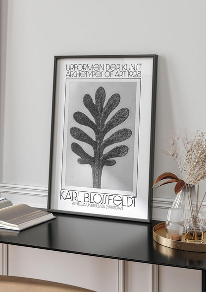 Karl Blossfeldt Urformen Der Kunst 1928 Achillea Umbellata Yarrow Art For The Home - living room 4