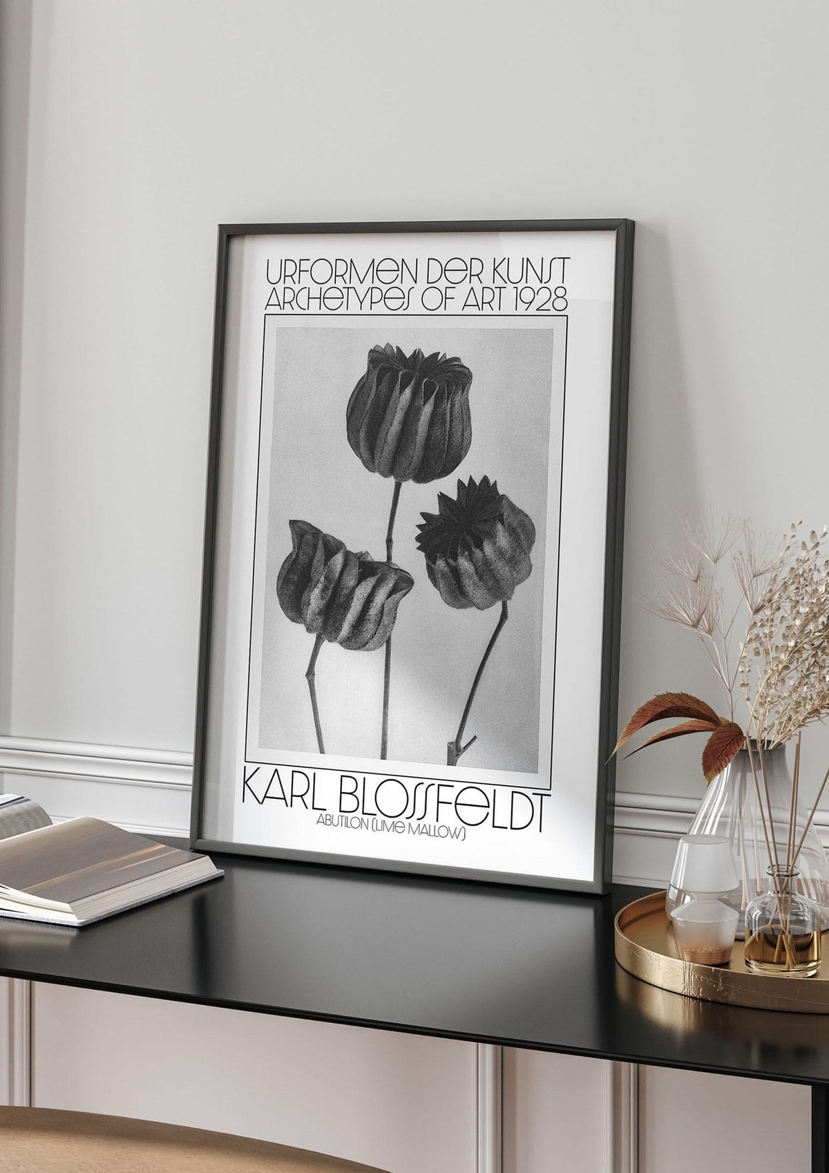 Karl Blossfeldt Urformen Der Kunst 1928 Abutilon Lime Mallow Printed Poster - living room 4