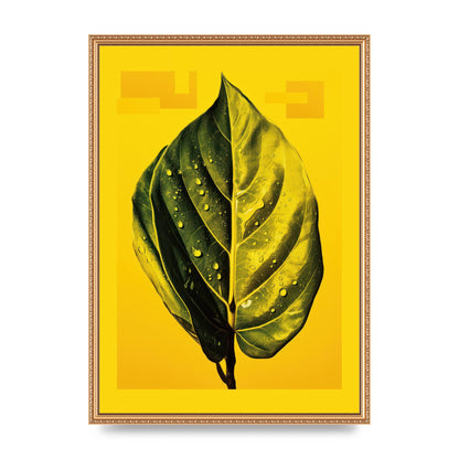 Canary Yellow Rubber Plant Leaf