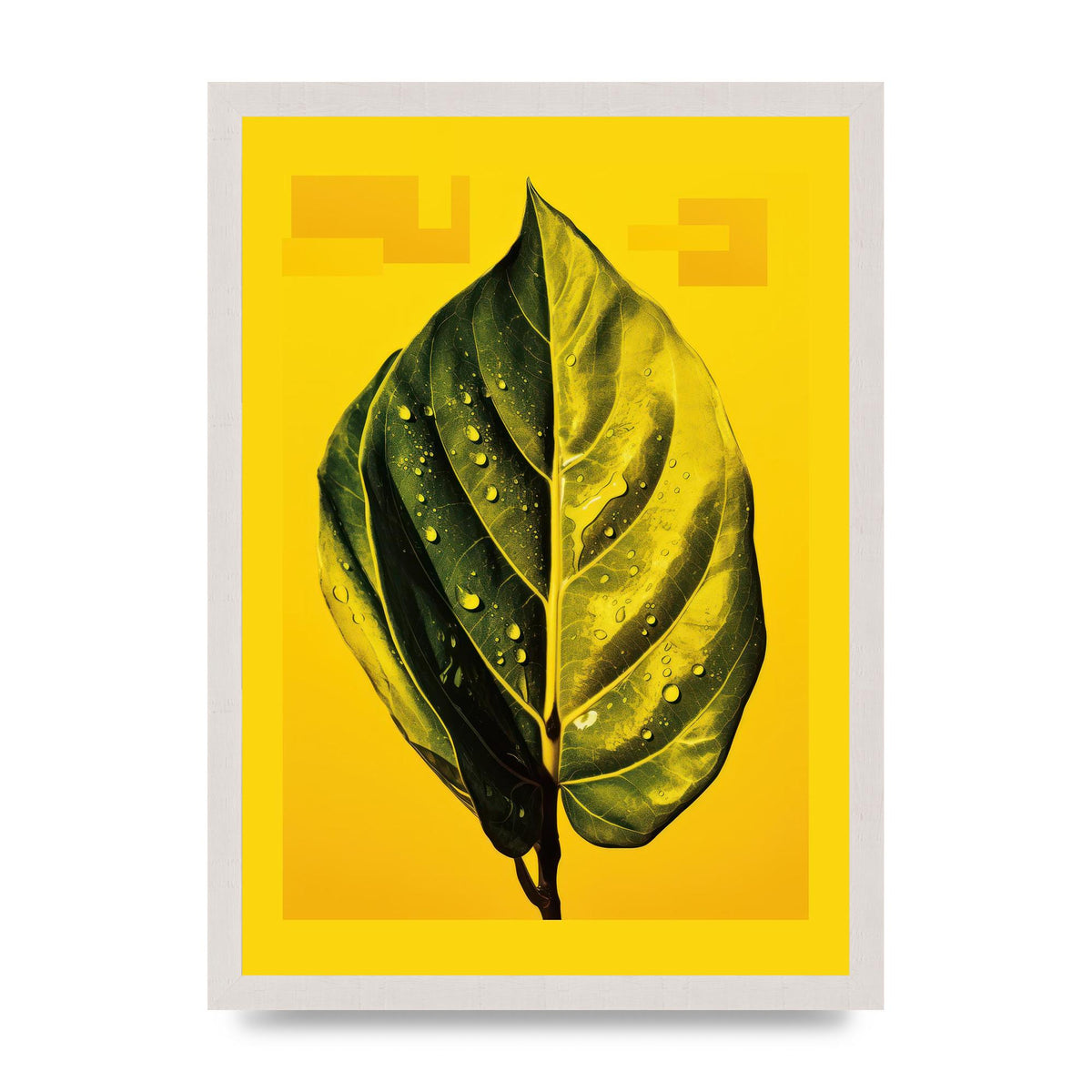 Canary Yellow Rubber Plant Leaf