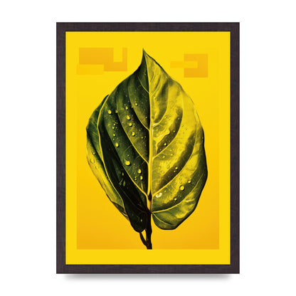 Canary Yellow Rubber Plant Leaf