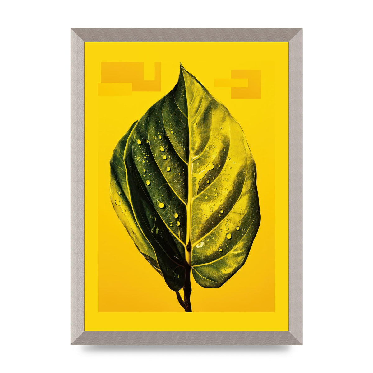 Canary Yellow Rubber Plant Leaf
