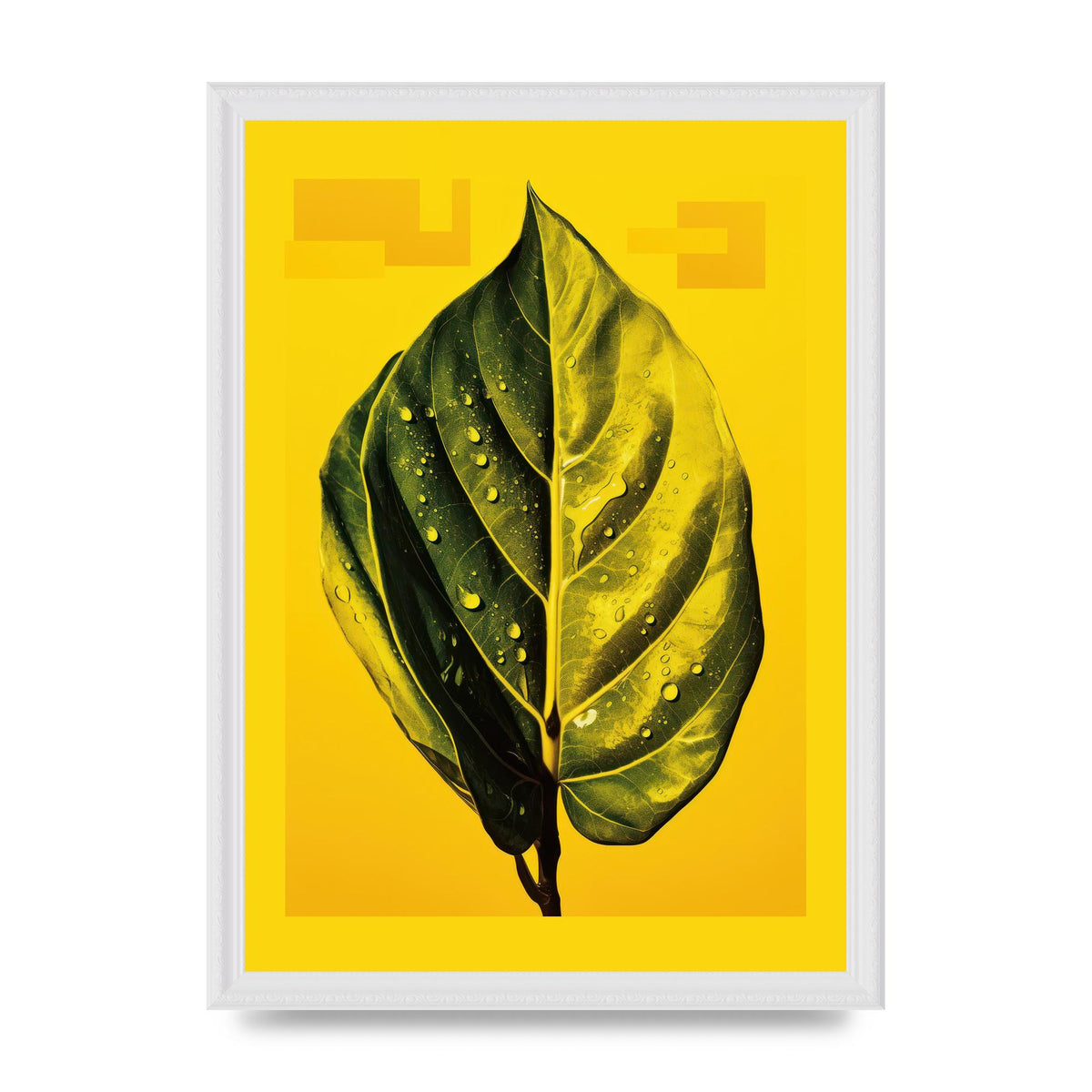 Canary Yellow Rubber Plant Leaf