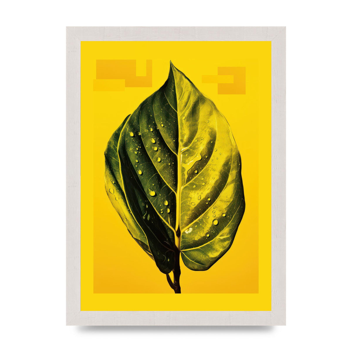 Canary Yellow Rubber Plant Leaf
