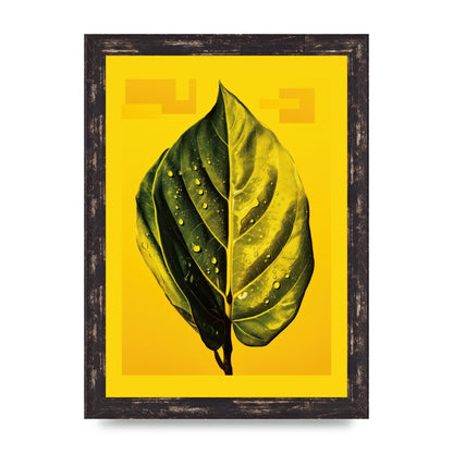Canary Yellow Rubber Plant Leaf