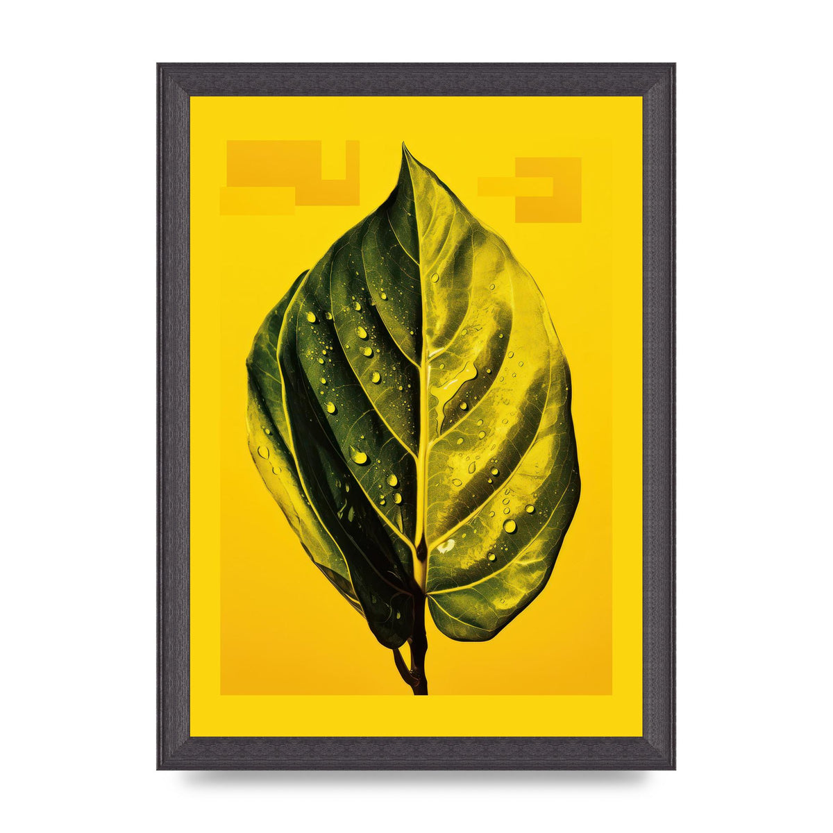 Canary Yellow Rubber Plant Leaf