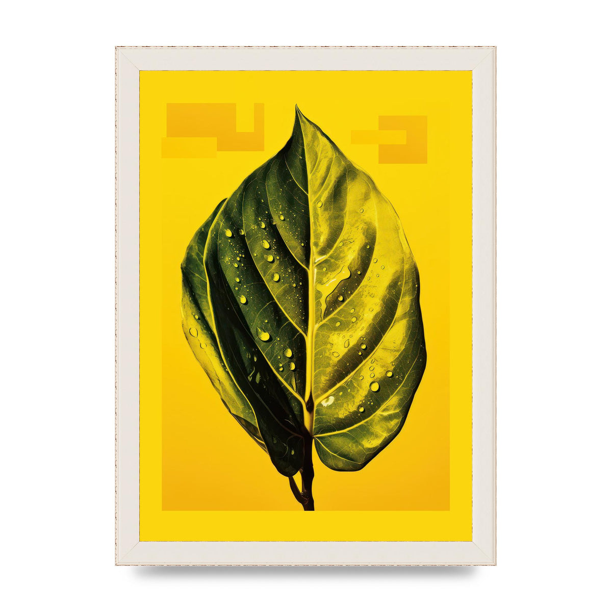 Canary Yellow Rubber Plant Leaf