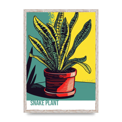Serpentine Stories Vibrant Snake Plant