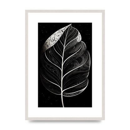 Rubber Plant Leaf in Black and White