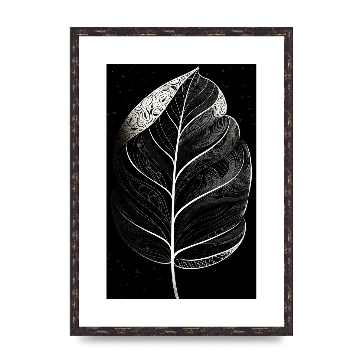 Rubber Plant Leaf in Black and White