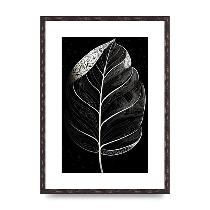 Rubber Plant Leaf in Black and White