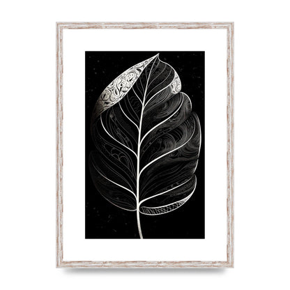 Rubber Plant Leaf in Black and White