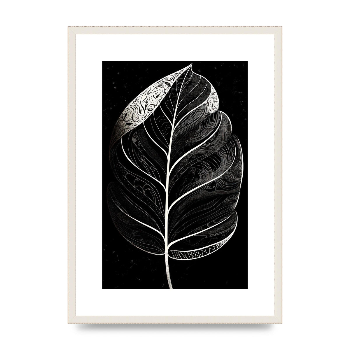 Rubber Plant Leaf in Black and White