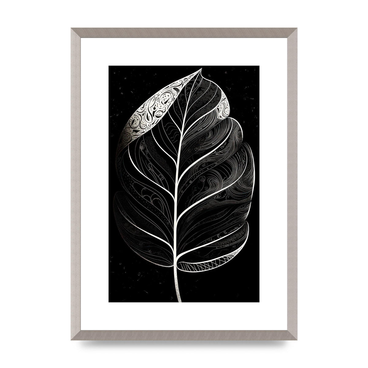 Rubber Plant Leaf in Black and White
