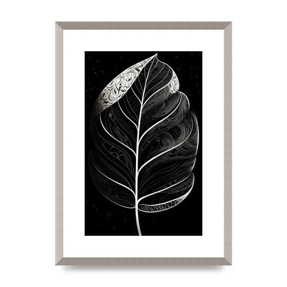 Rubber Plant Leaf in Black and White