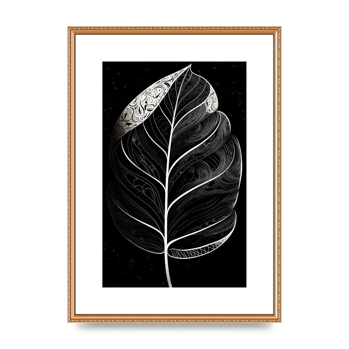 Rubber Plant Leaf in Black and White