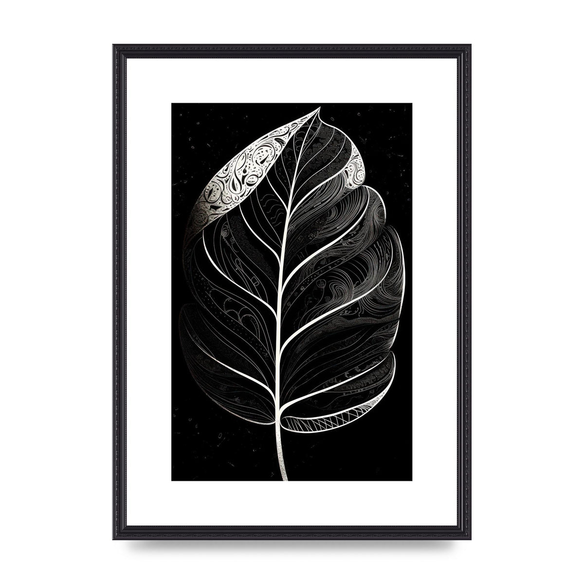 Rubber Plant Leaf in Black and White