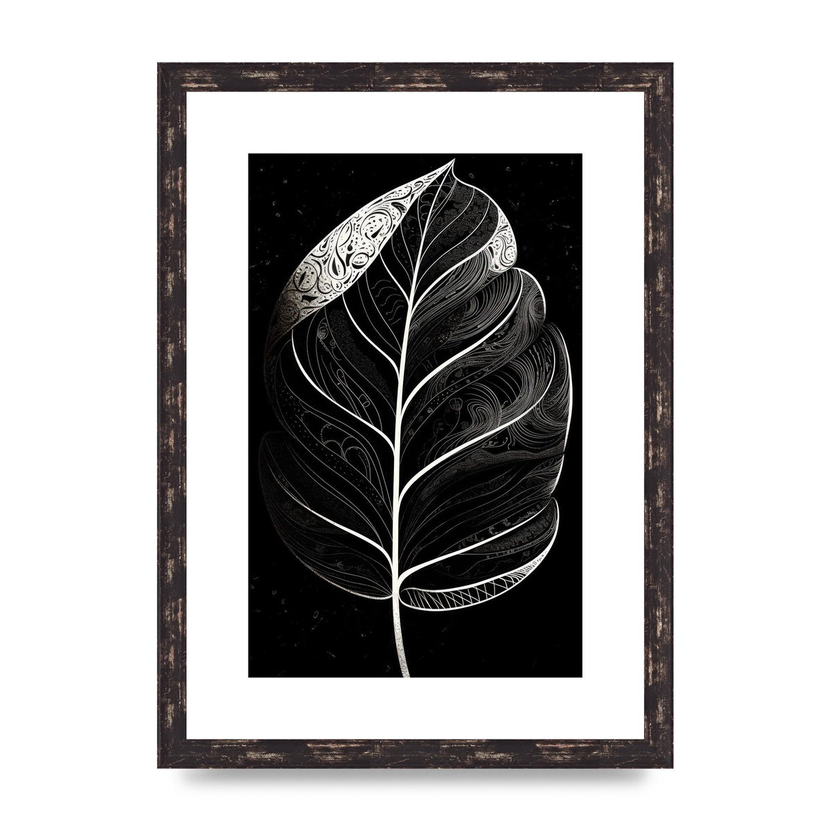 Rubber Plant Leaf in Black and White
