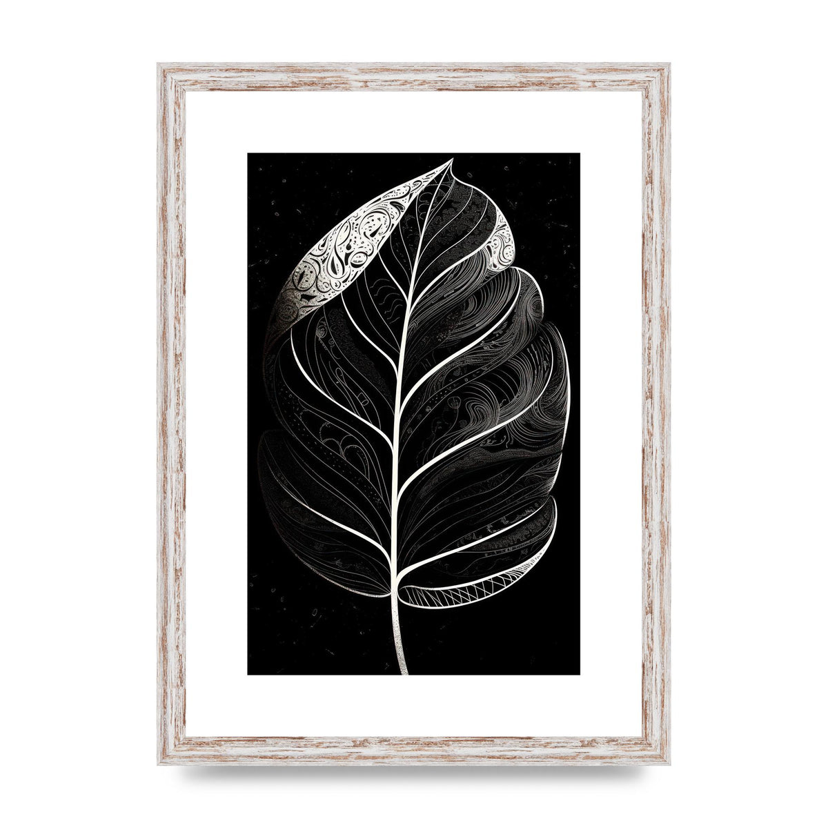 Rubber Plant Leaf in Black and White