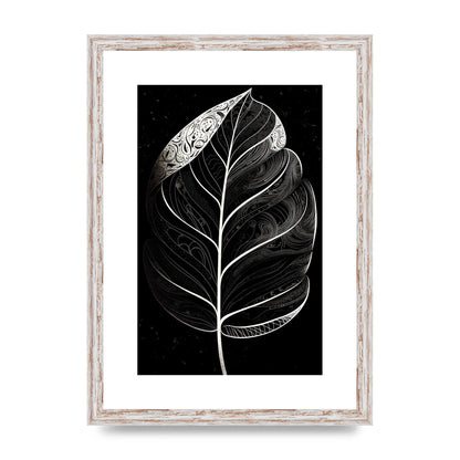 Rubber Plant Leaf in Black and White