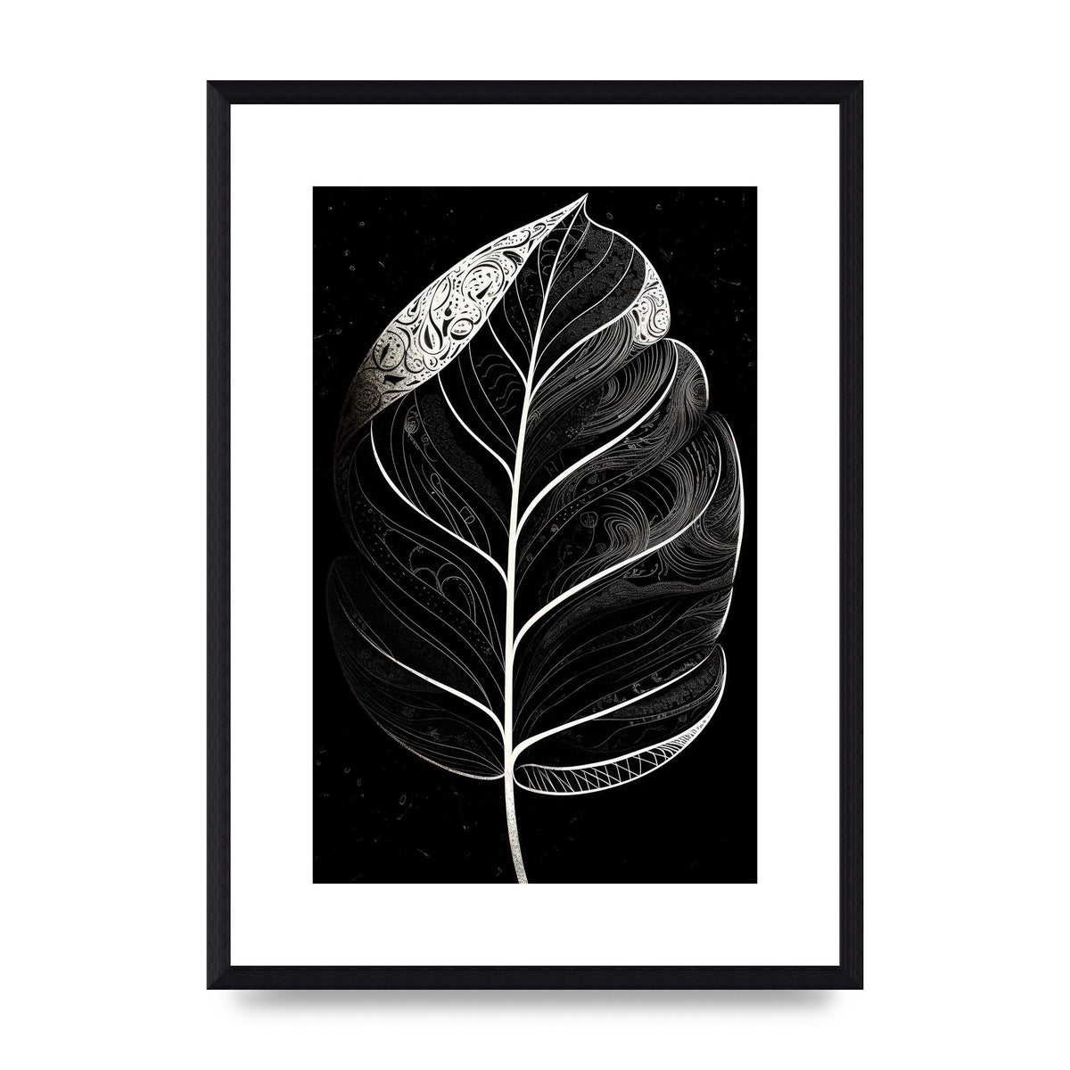 Rubber Plant Leaf in Black and White