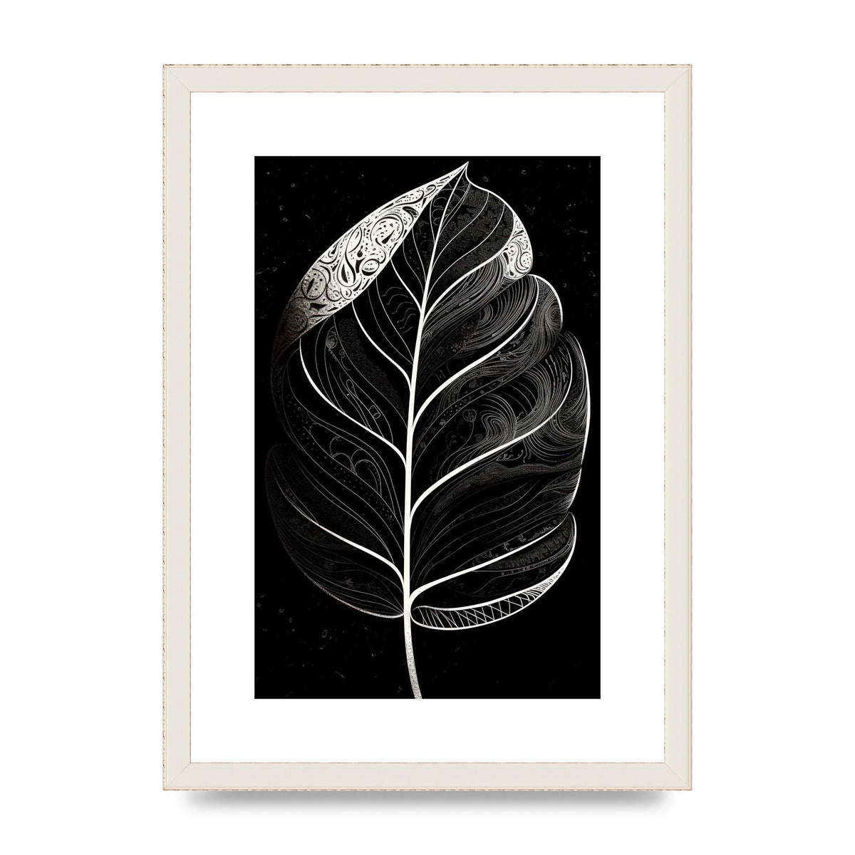 Rubber Plant Leaf in Black and White