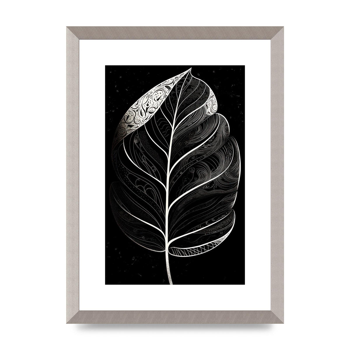 Rubber Plant Leaf in Black and White