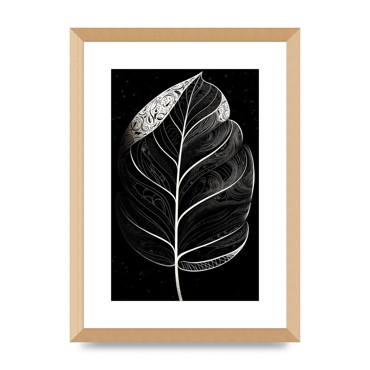 Rubber Plant Leaf in Black and White