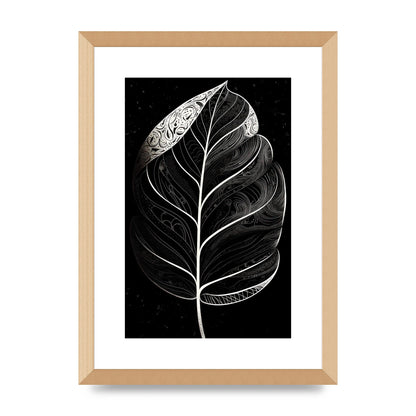 Rubber Plant Leaf in Black and White