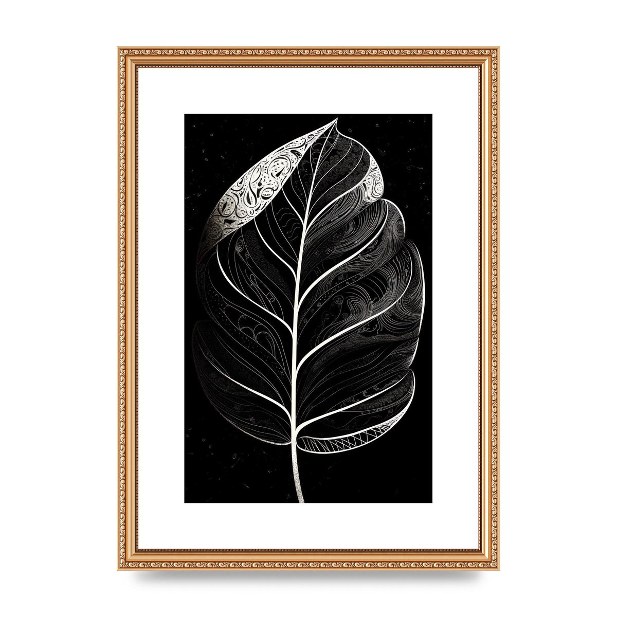Rubber Plant Leaf in Black and White