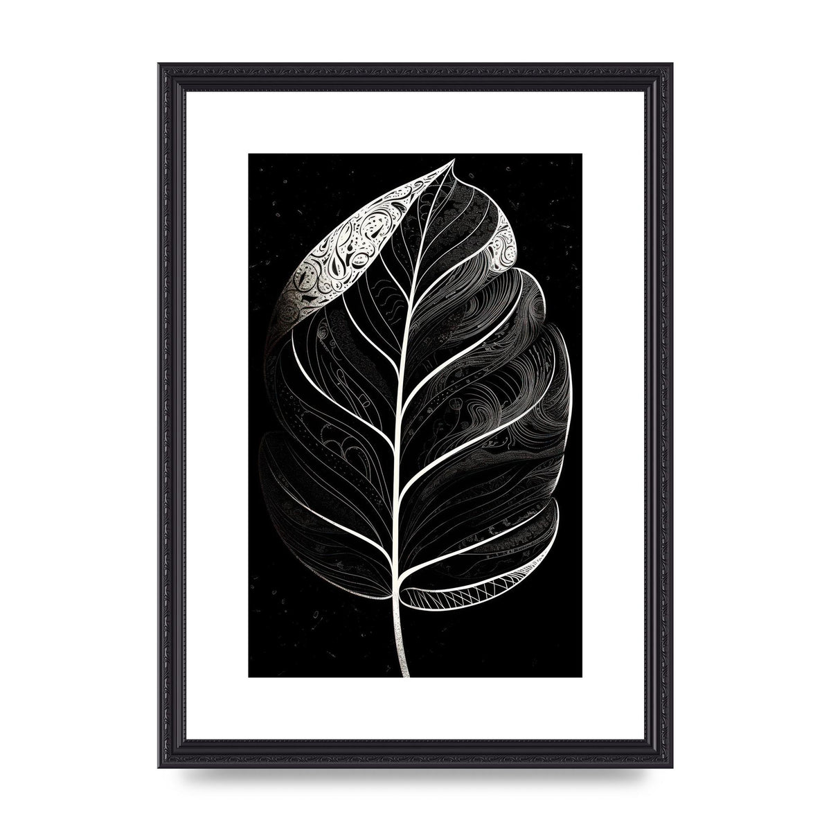 Rubber Plant Leaf in Black and White