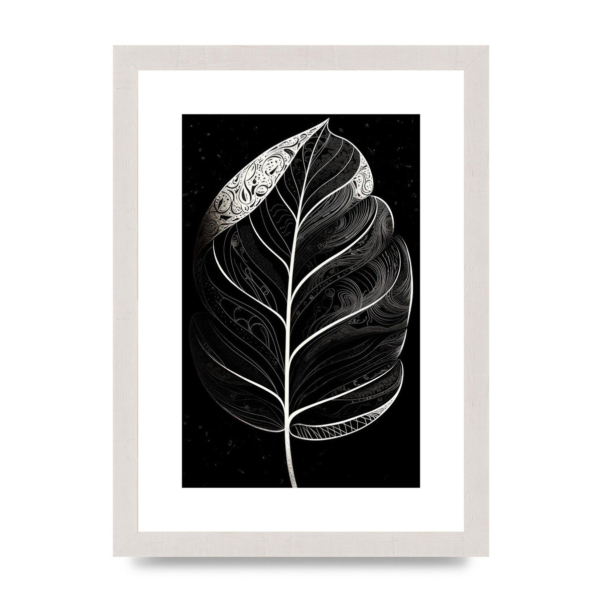 Rubber Plant Leaf in Black and White