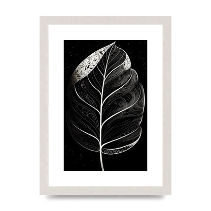 Rubber Plant Leaf in Black and White