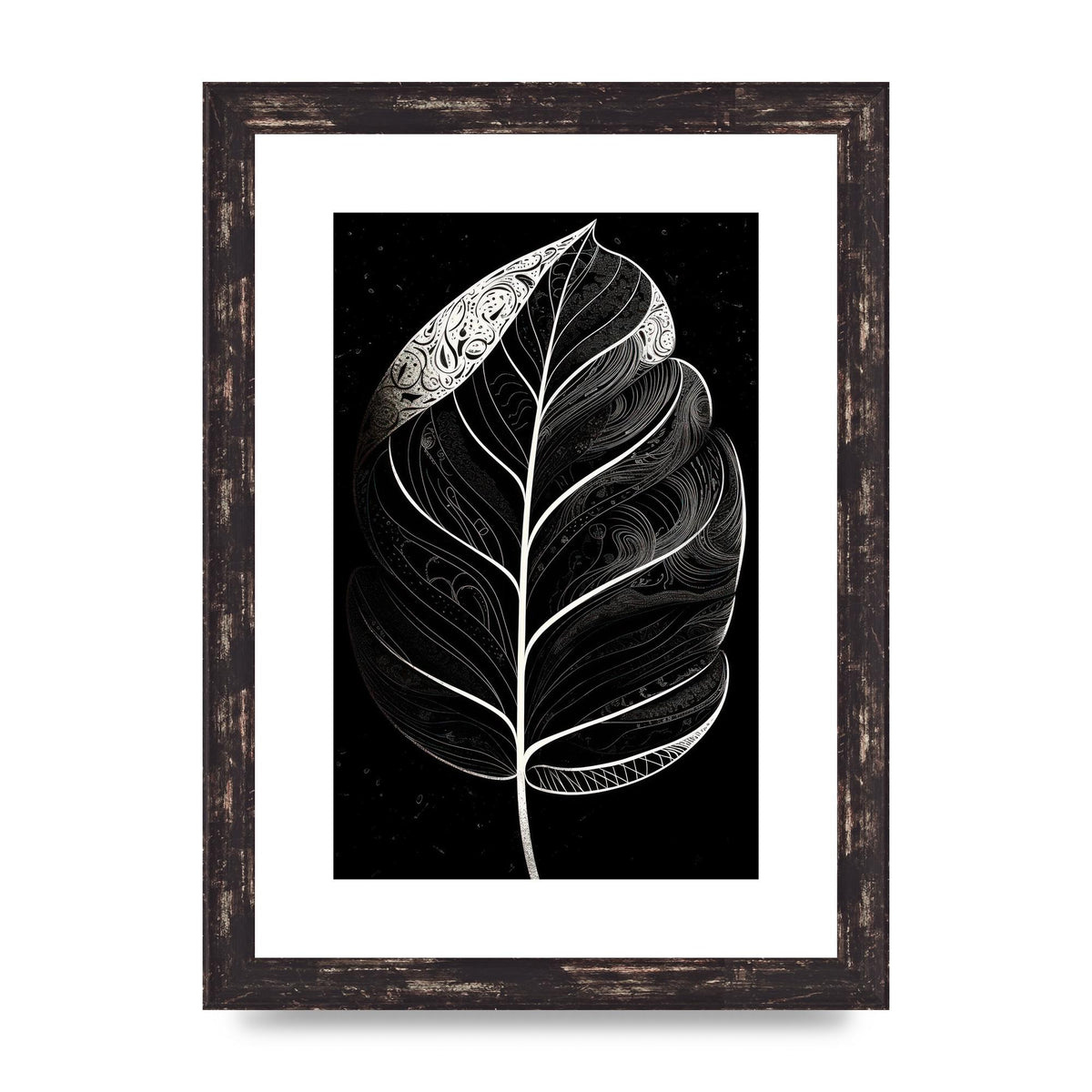 Rubber Plant Leaf in Black and White