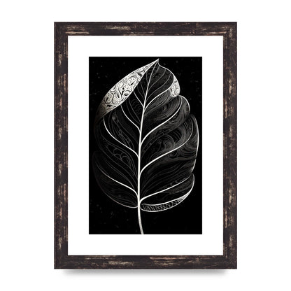 Rubber Plant Leaf in Black and White