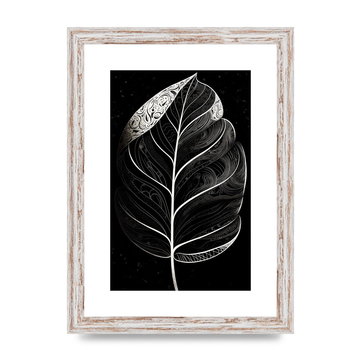 Rubber Plant Leaf in Black and White